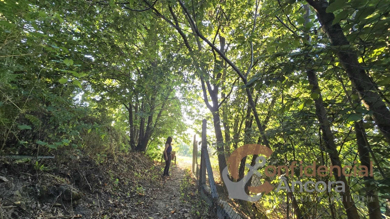 Moradia T4 para Venda em Gouveia (São Pedro e São Julião) Foto 78