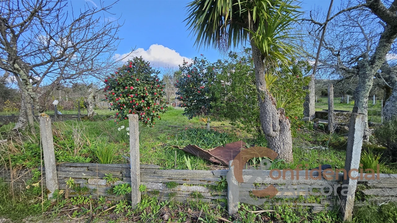 Terreno Agricola ou Rústico para Venda em Nespereira Foto 11