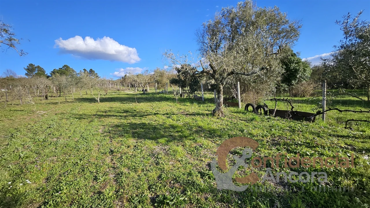 Terreno Agricola ou Rústico para Venda em Nespereira Foto 21