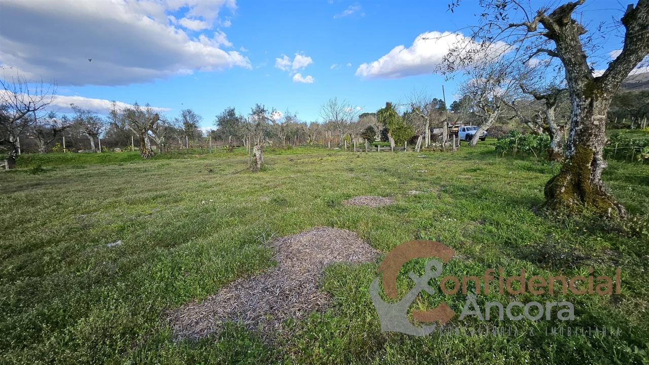Terreno Agricola ou Rústico para Venda em Nespereira Foto 10