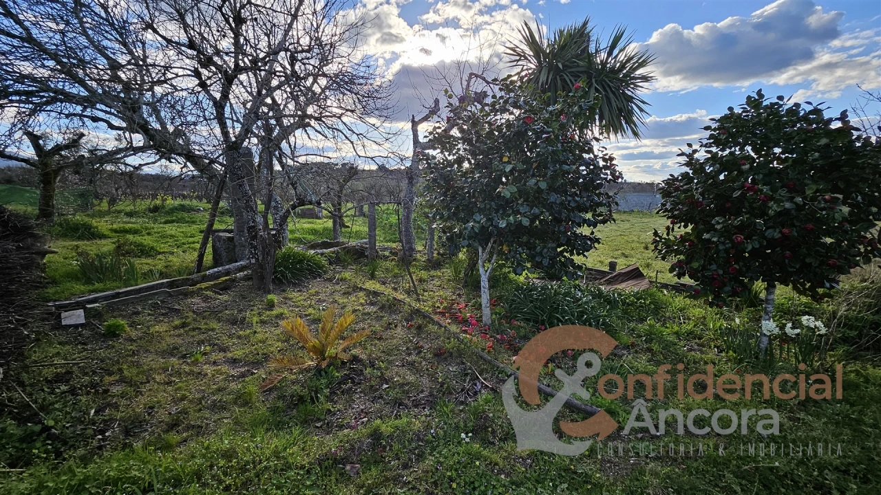 Terreno Agricola ou Rústico para Venda em Nespereira Foto 12