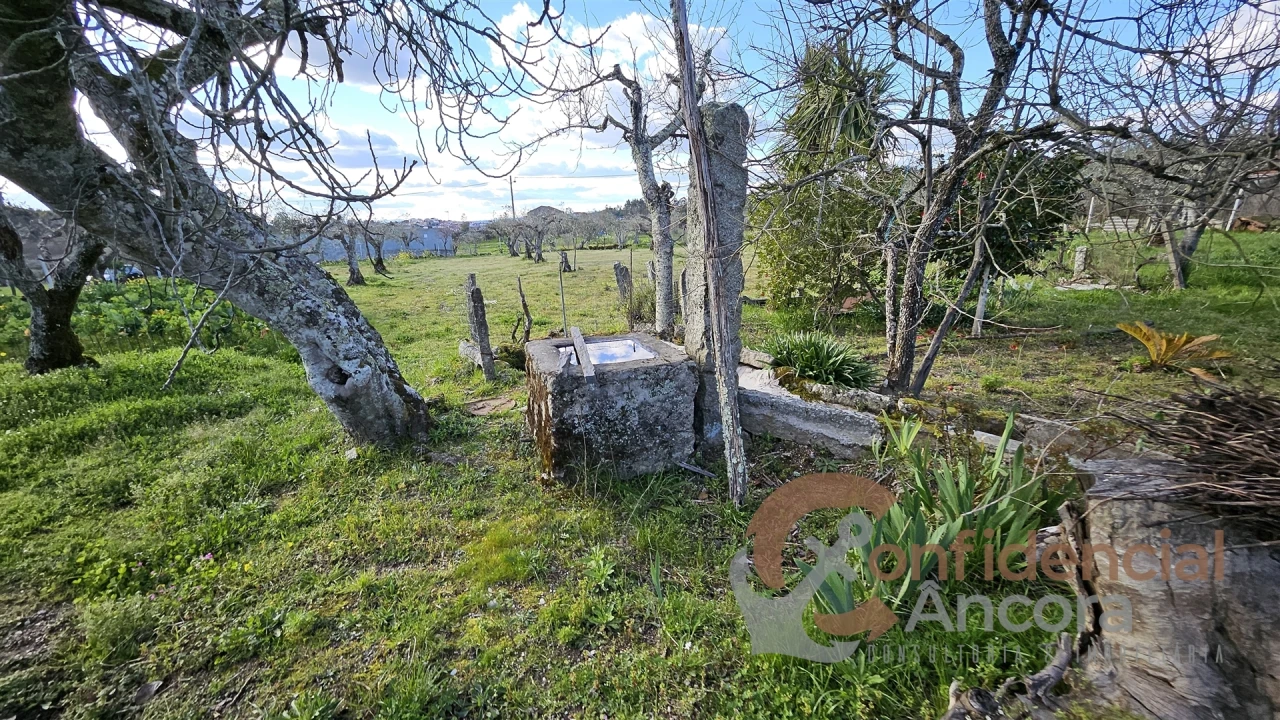 Terreno Agricola ou Rústico para Venda em Nespereira Foto 2