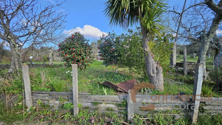 Terreno Agricola ou Rústico para Venda em Nespereira Foto 11
