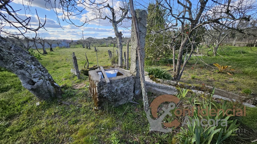 Terreno Agricola ou Rústico para Venda em Nespereira Foto 3