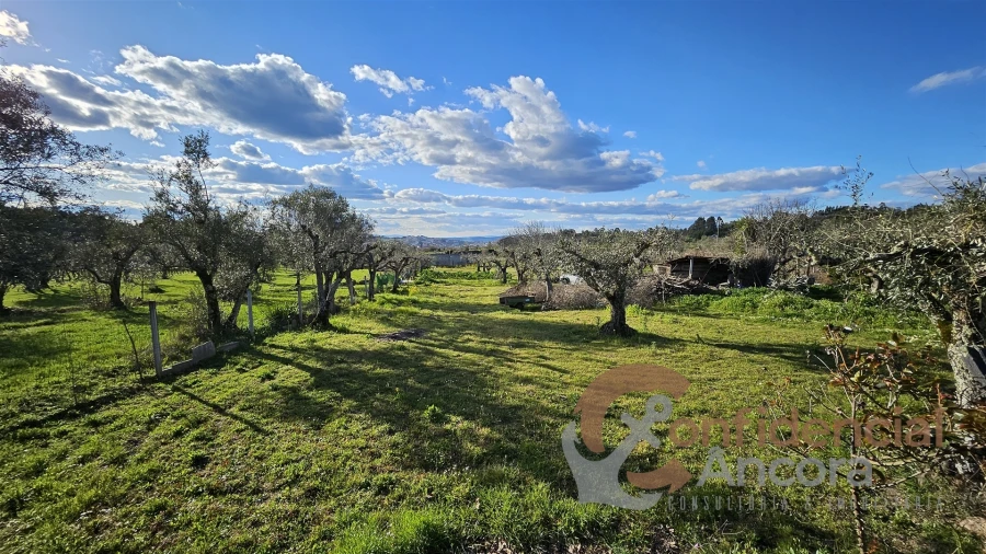 Terreno Agricola ou Rústico para Venda em Nespereira Foto 22