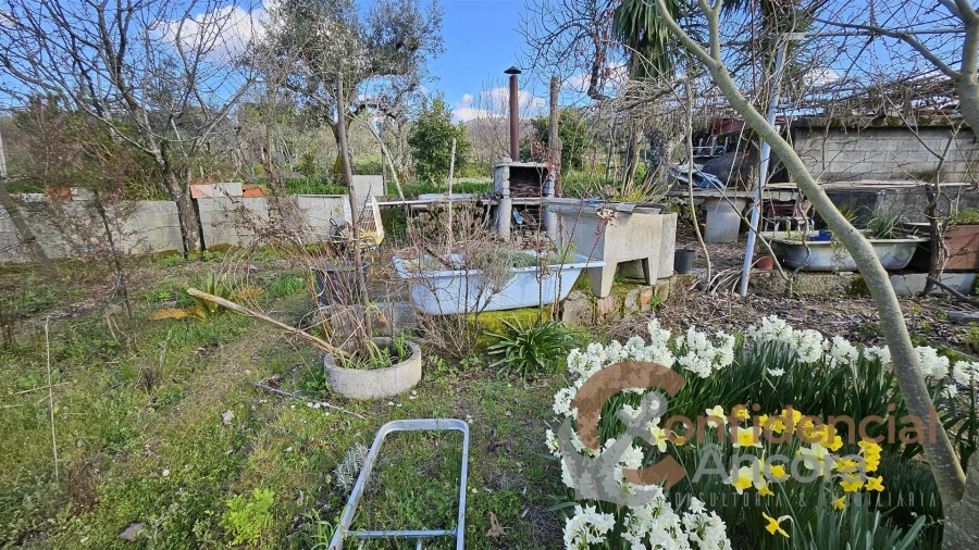 Terreno Agricola ou Rústico para Venda em Nespereira Foto 14