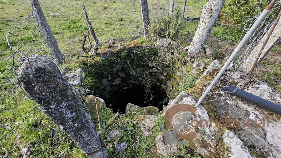 Terreno Agricola ou Rústico para Venda em Nespereira Foto 4