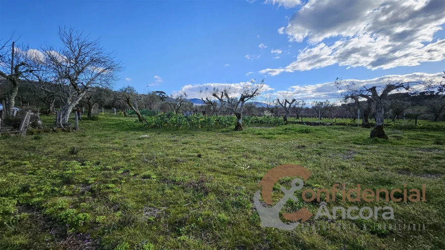 Terreno Agricola ou Rústico para Venda em Nespereira Foto 6
