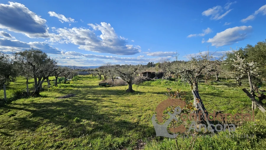Terreno Agricola ou Rústico para Venda em Nespereira Foto 1