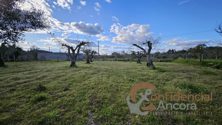 Terreno Agricola ou Rústico para Venda em Nespereira Foto 5