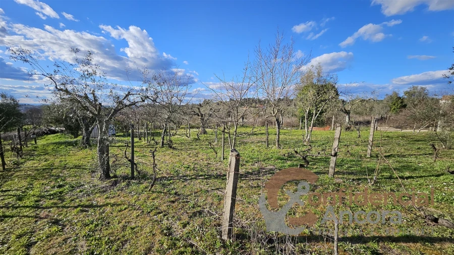 Terreno Agricola ou Rústico para Venda em Nespereira Foto 20
