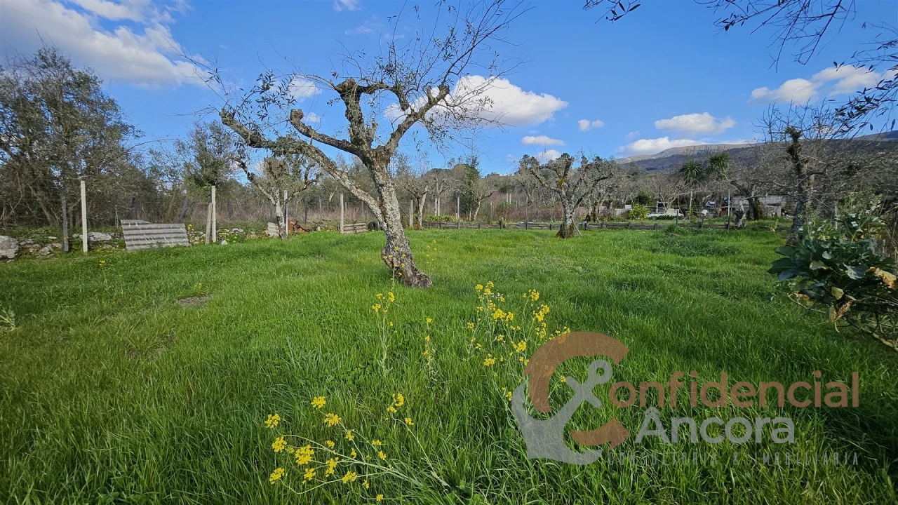 Terreno Agricola ou Rústico para Venda em Nespereira Foto 8