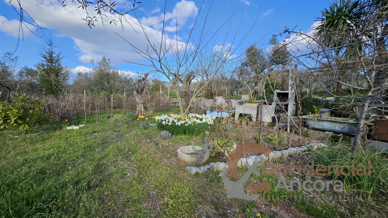 Terreno Agricola ou Rústico para Venda em Nespereira Foto 13