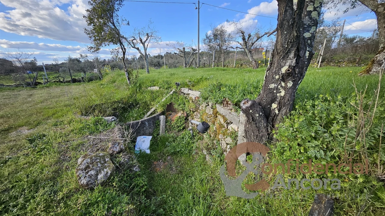Terreno Agricola ou Rústico para Venda em Nespereira Foto 7