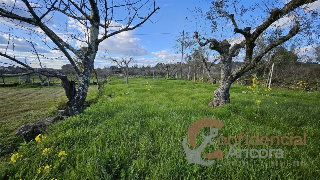 Terreno Agricola ou Rústico para Venda em Nespereira Foto 9