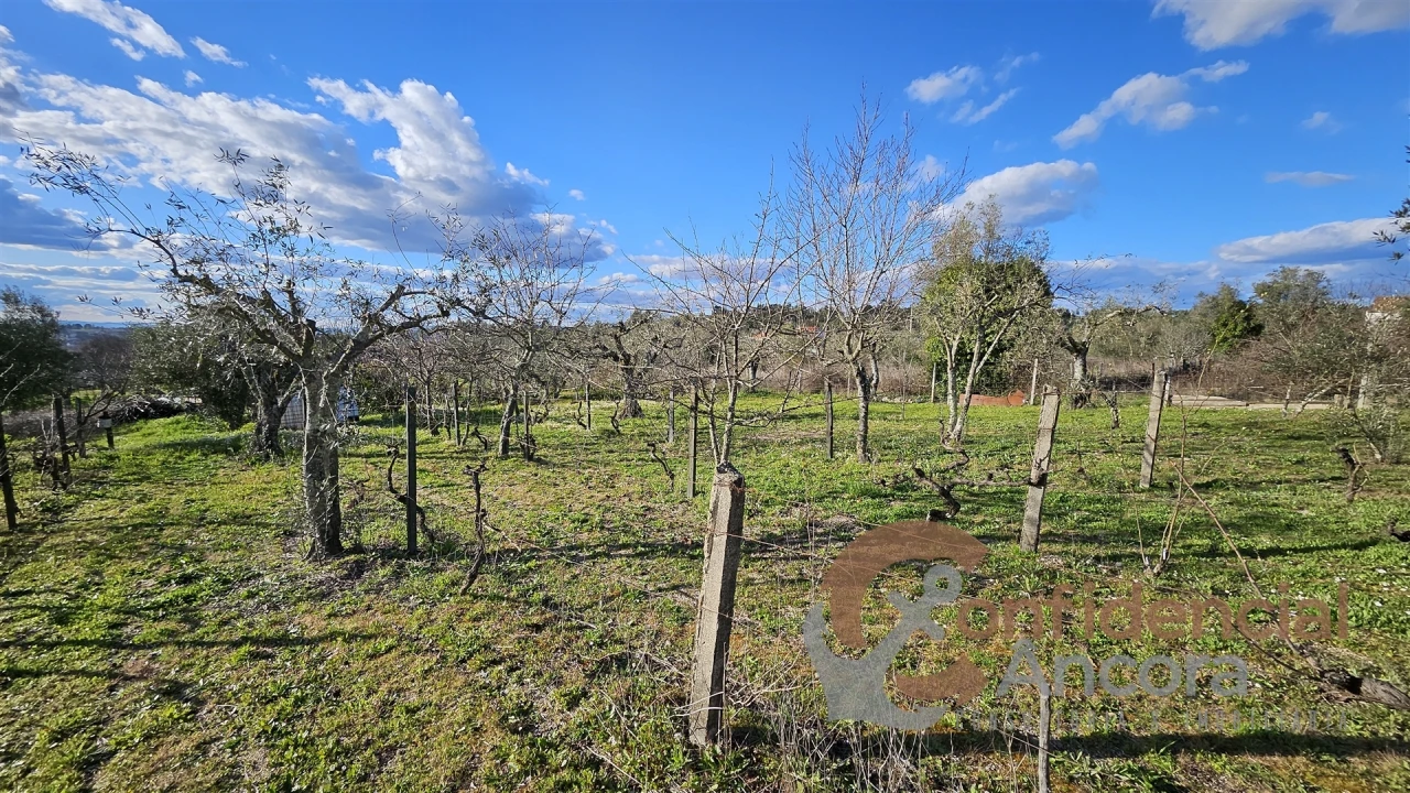 Terreno Agricola ou Rústico para Venda em Nespereira Foto 20