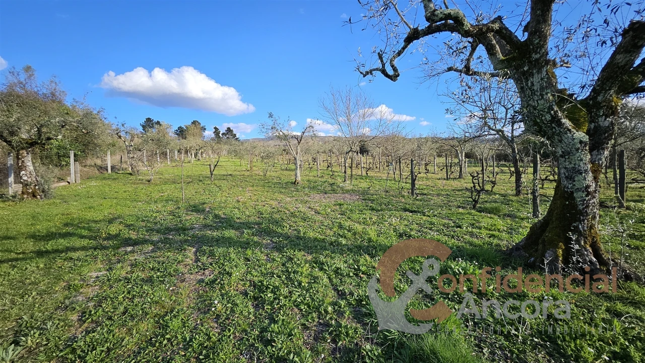 Terreno Agricola ou Rústico para Venda em Nespereira Foto 18