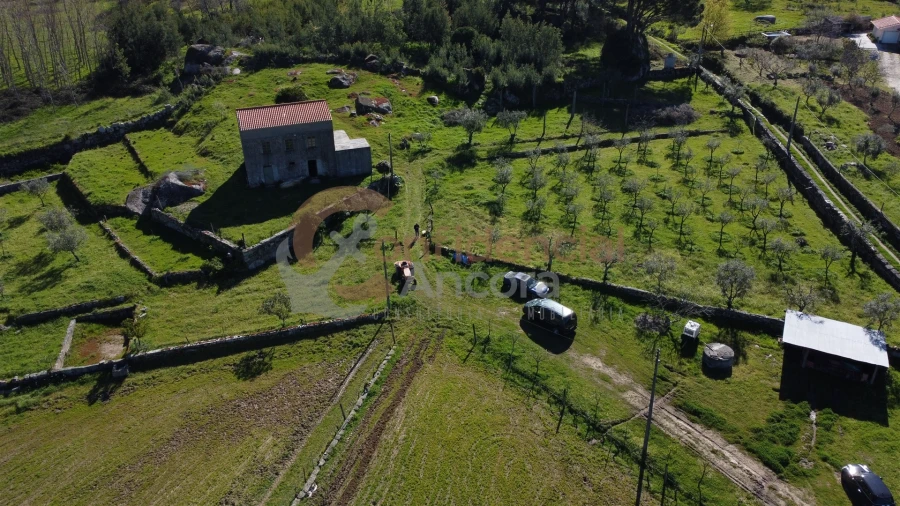 Quinta T0 para Venda em Moimenta da Serra e Vinhó Foto 17