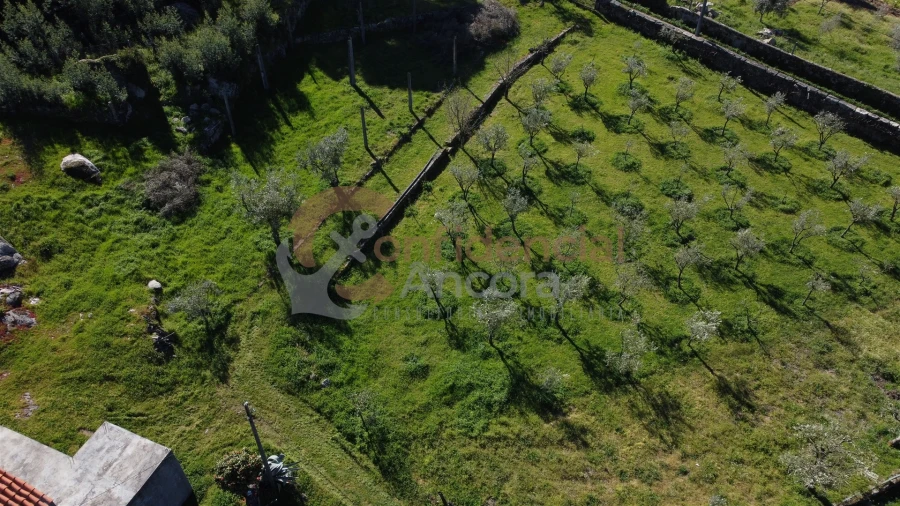 Quinta T0 para Venda em Moimenta da Serra e Vinhó Foto 20