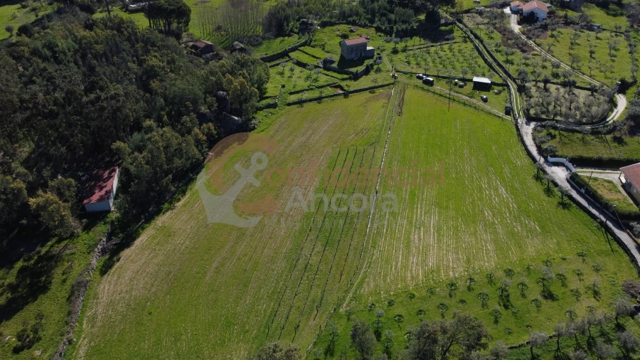 Quinta T0 para Venda em Moimenta da Serra e Vinhó Foto 16