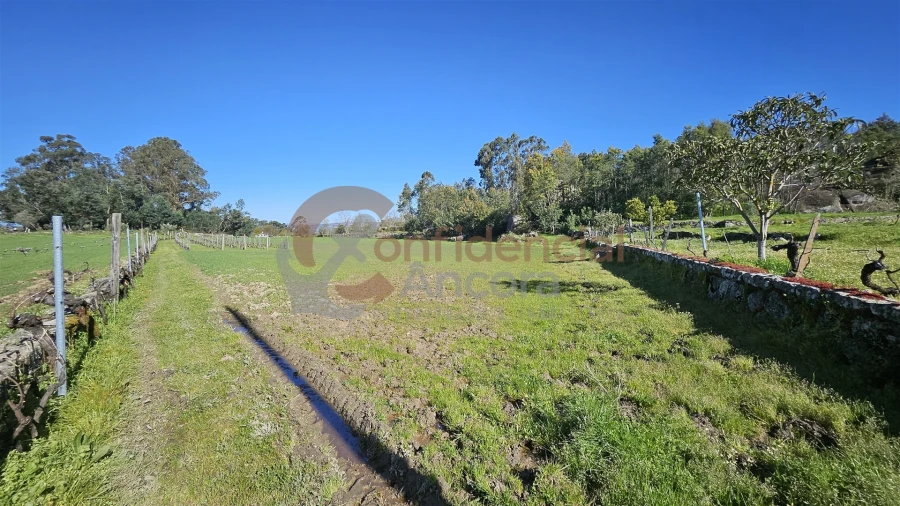 Quinta T0 para Venda em Moimenta da Serra e Vinhó Foto 6