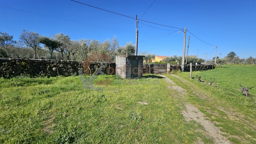 Quinta T0 para Venda em Moimenta da Serra e Vinhó Foto 10