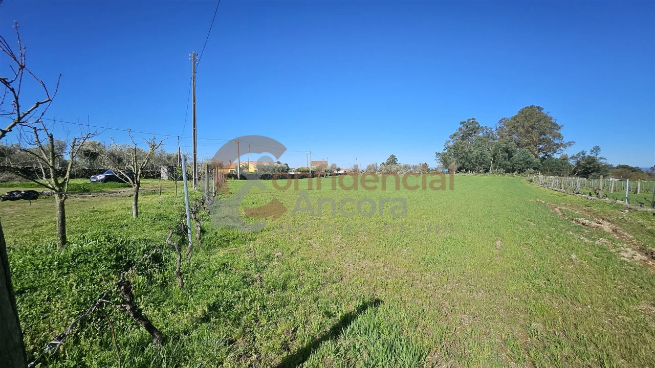 Quinta T0 para Venda em Moimenta da Serra e Vinhó Foto 7