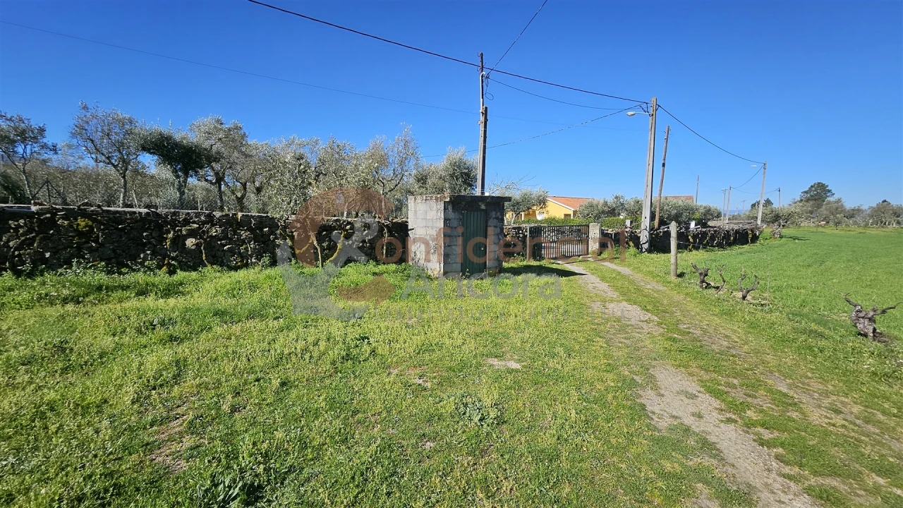 Quinta T0 para Venda em Moimenta da Serra e Vinhó Foto 10