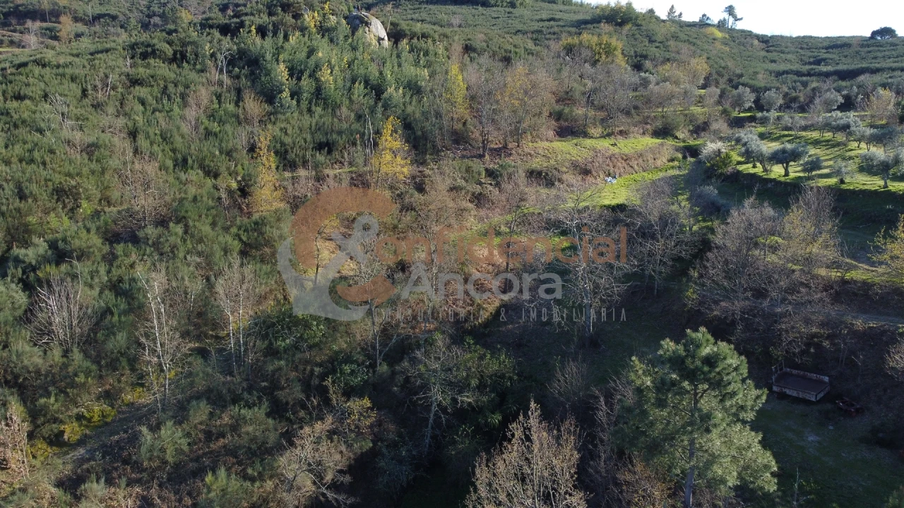 Quinta T0 para Venda em Aldeias e Mangualde da Serra Foto 40