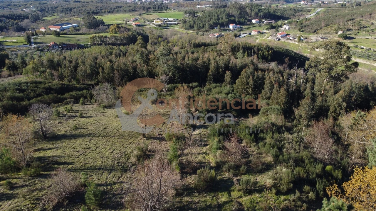 Quinta T0 para Venda em Aldeias e Mangualde da Serra Foto 41