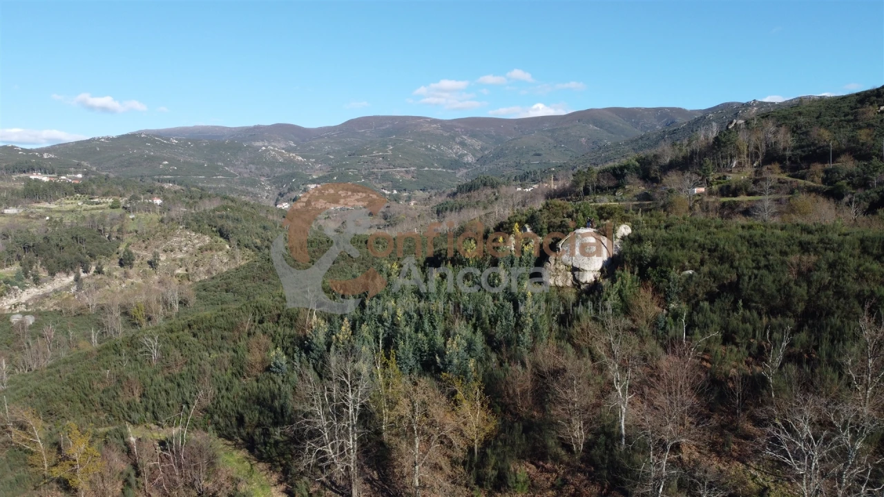 Quinta T0 para Venda em Aldeias e Mangualde da Serra Foto 48