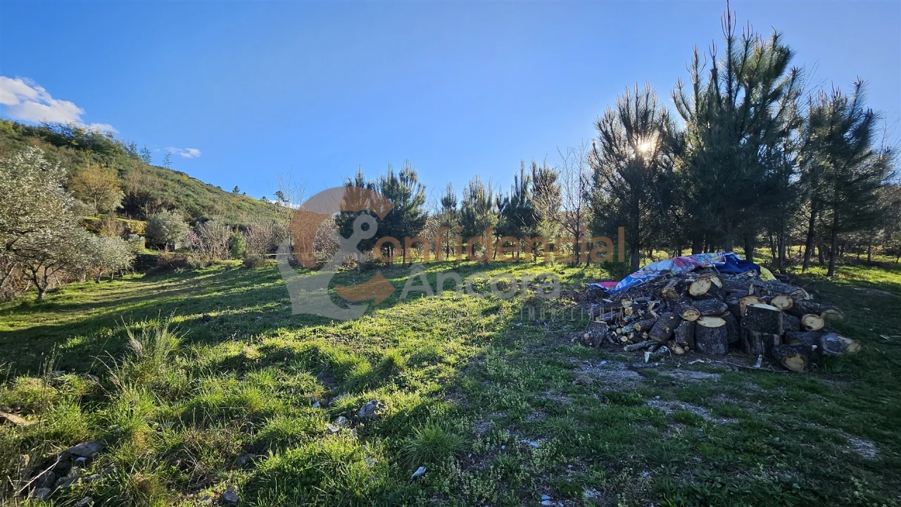 Quinta T0 para Venda em Aldeias e Mangualde da Serra Foto 25