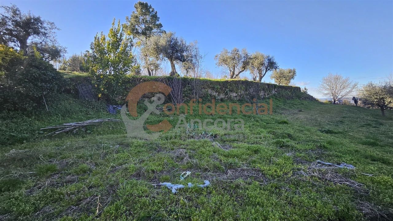 Quinta T0 para Venda em Aldeias e Mangualde da Serra Foto 18