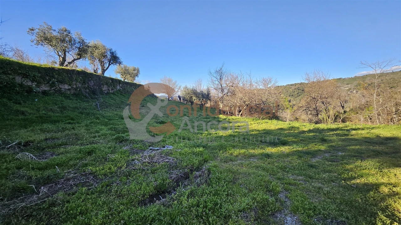 Quinta T0 para Venda em Aldeias e Mangualde da Serra Foto 17