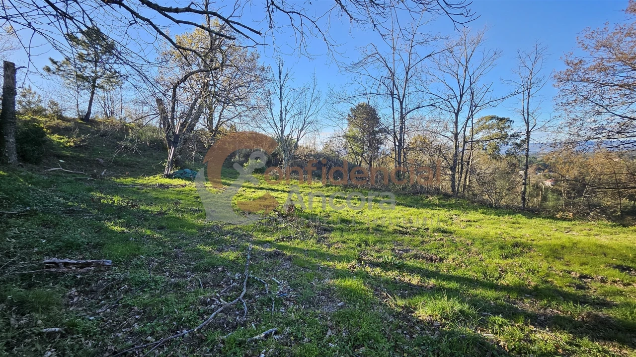 Quinta T0 para Venda em Aldeias e Mangualde da Serra Foto 9