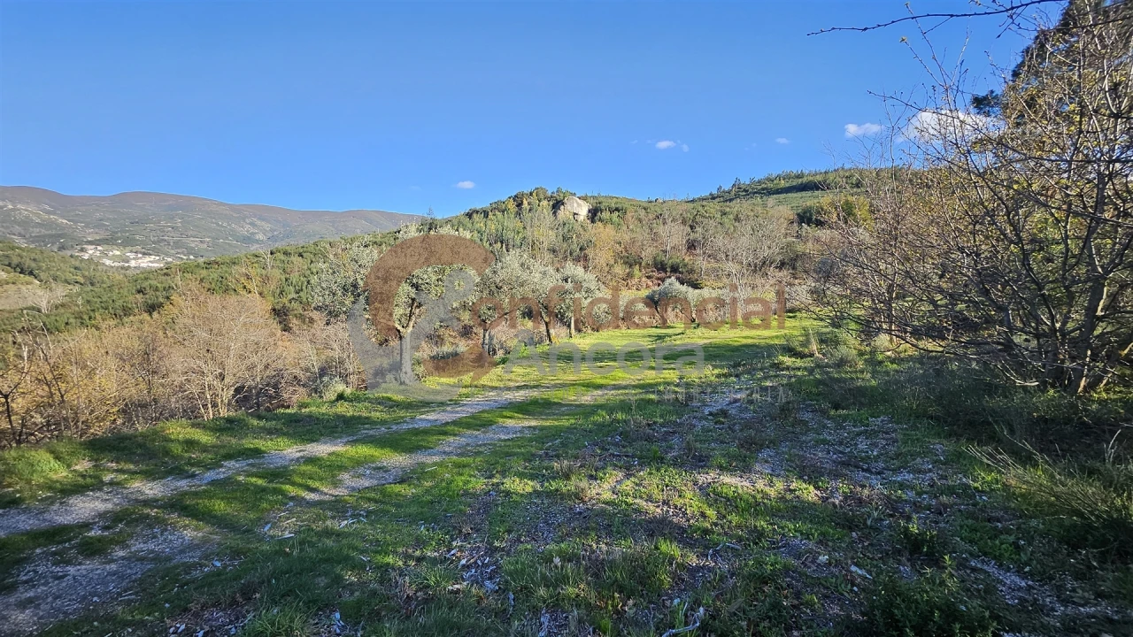 Quinta T0 para Venda em Aldeias e Mangualde da Serra Foto 10