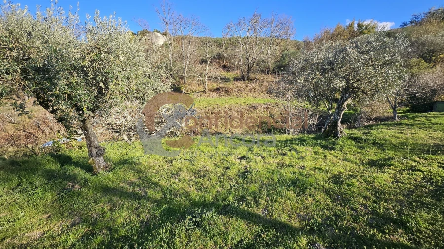 Quinta T0 para Venda em Aldeias e Mangualde da Serra Foto 23