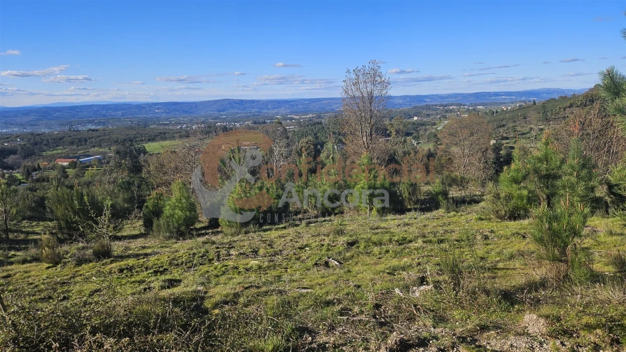 Quinta T0 para Venda em Aldeias e Mangualde da Serra Foto 3