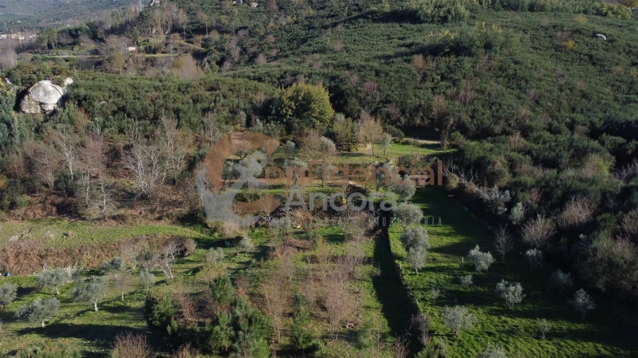 Quinta T0 para Venda em Aldeias e Mangualde da Serra Foto 44