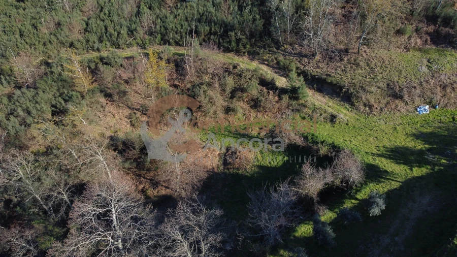 Quinta T0 para Venda em Aldeias e Mangualde da Serra Foto 53