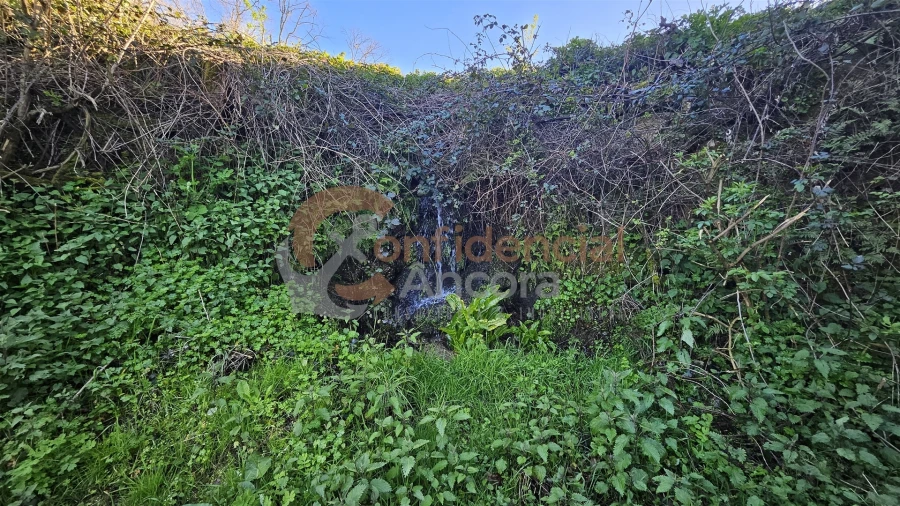 Quinta T0 para Venda em Aldeias e Mangualde da Serra Foto 16