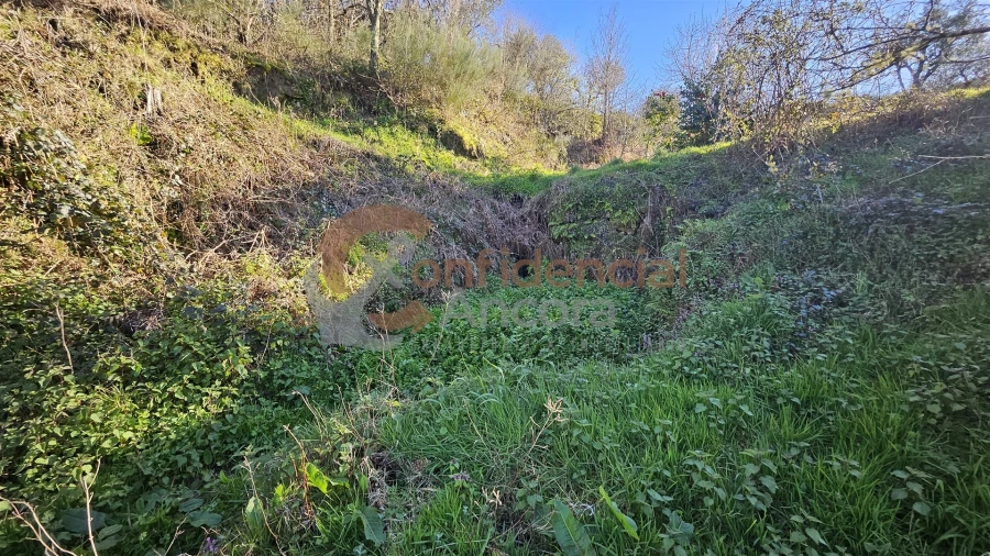 Quinta T0 para Venda em Aldeias e Mangualde da Serra Foto 19