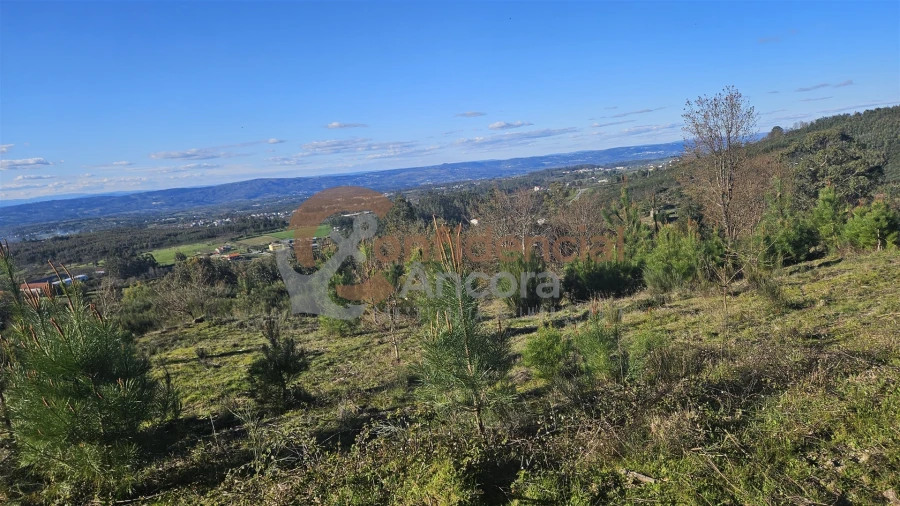 Quinta T0 para Venda em Aldeias e Mangualde da Serra Foto 2