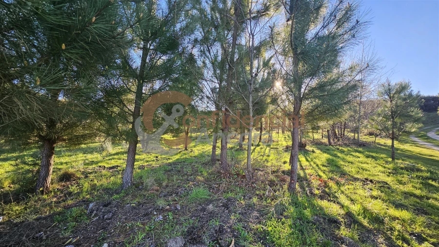 Quinta T0 para Venda em Aldeias e Mangualde da Serra Foto 26