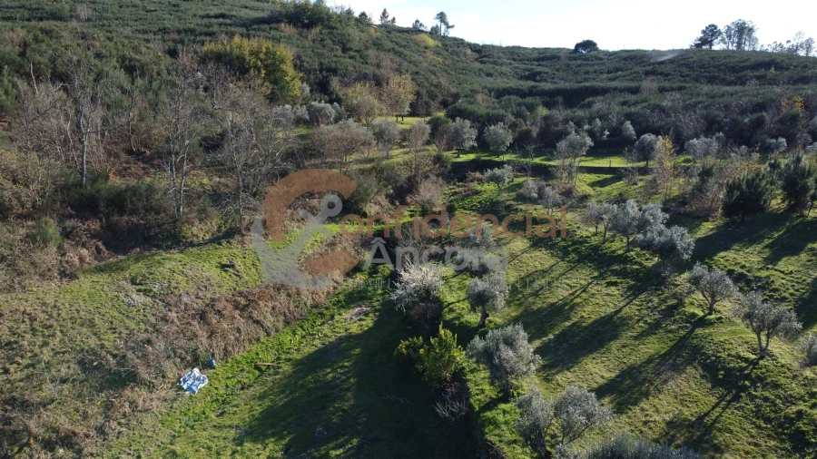 Quinta T0 para Venda em Aldeias e Mangualde da Serra Foto 36