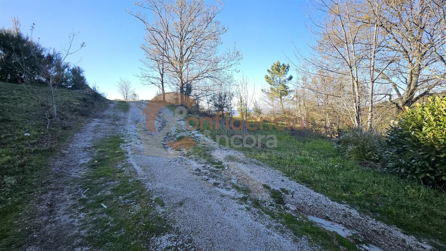 Quinta T0 para Venda em Aldeias e Mangualde da Serra Foto 4