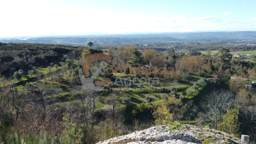 Quinta T0 para Venda em Aldeias e Mangualde da Serra Foto 59