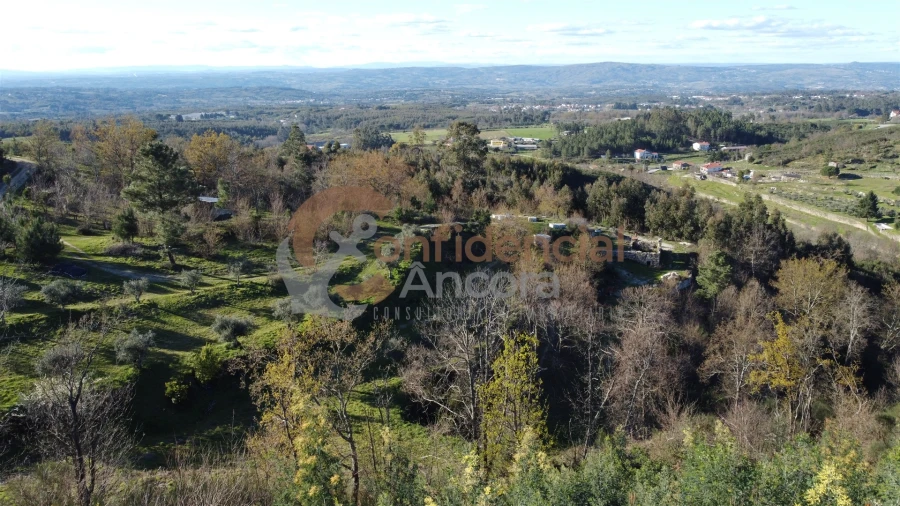 Quinta T0 para Venda em Aldeias e Mangualde da Serra Foto 55