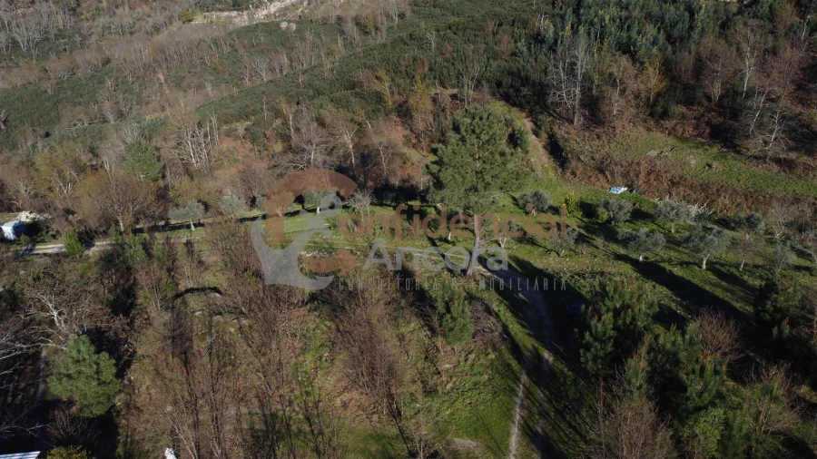 Quinta T0 para Venda em Aldeias e Mangualde da Serra Foto 46