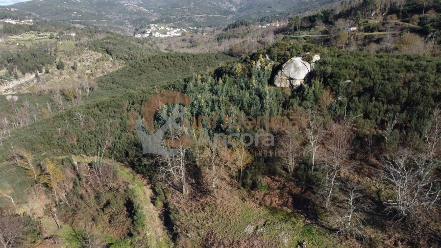 Quinta T0 para Venda em Aldeias e Mangualde da Serra Foto 47